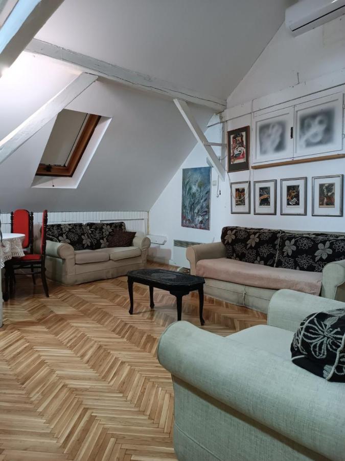 Apartament Srba Belgrad Zewnętrze zdjęcie
